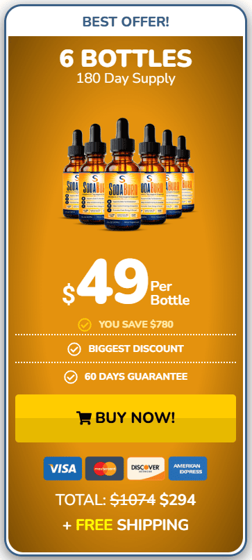sodaburn 6 bottles price