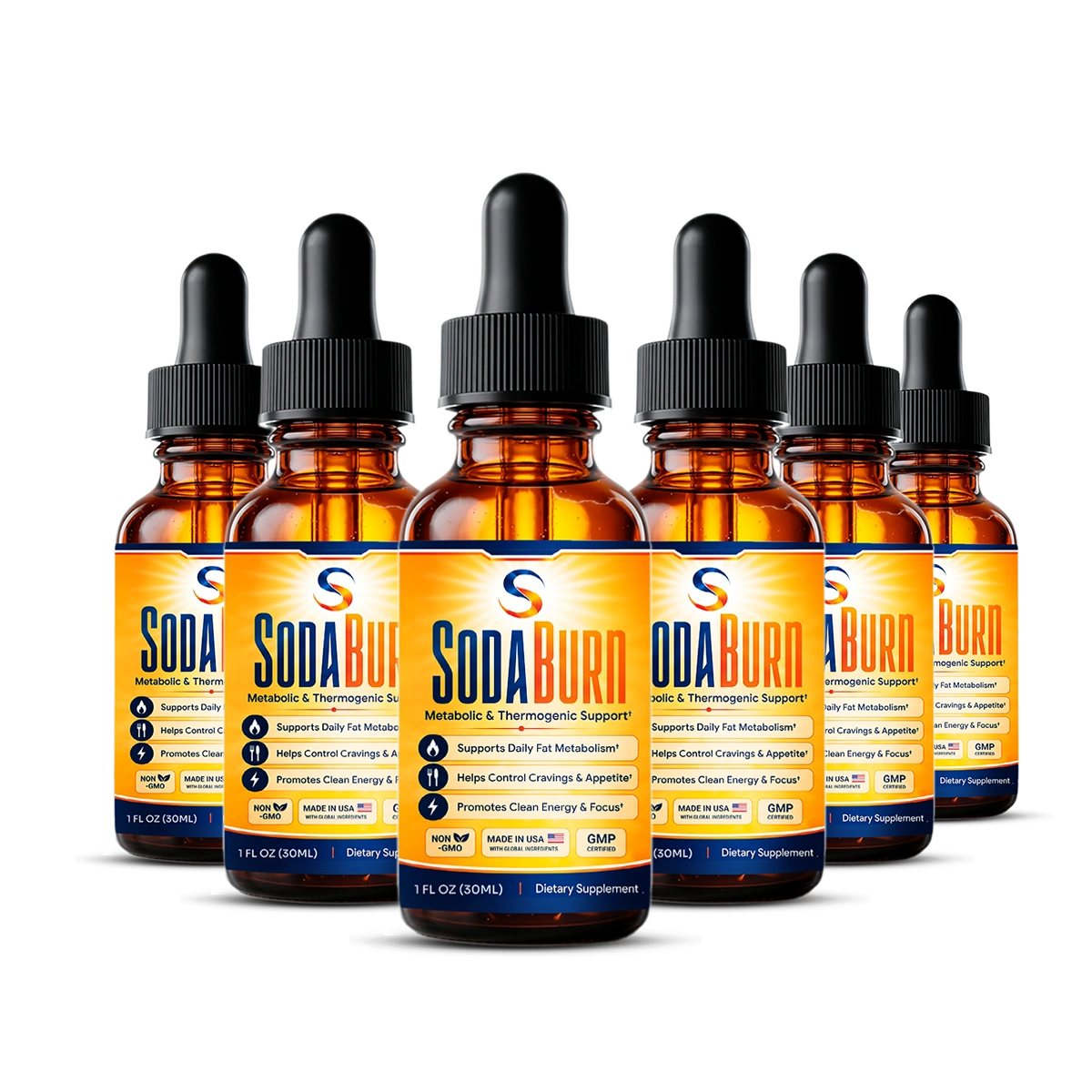 sodaburn 6 bottles
